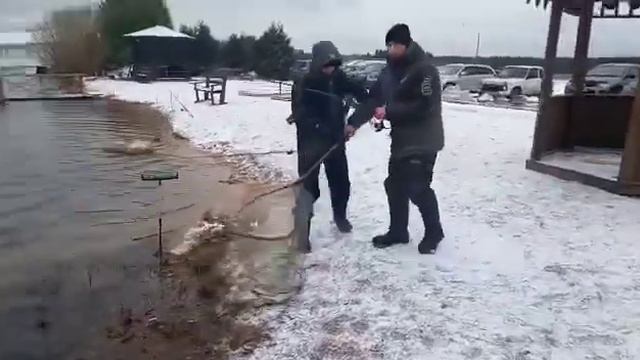 Основной - поимка форели на пассив