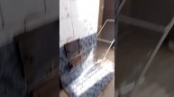 когда напали в гуси
