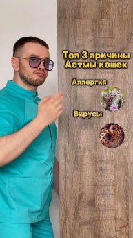 Топ 3 причины астмы у кошек 🐈