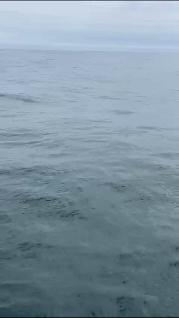 b25eb569-1912-4771-adb7-cfeedfbccb97-1_all_21232.mp4