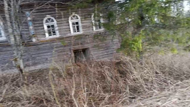 заброшенная деревня в Вологодской области.много виниловых пластинок ✨