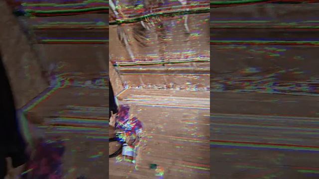 1000023412.mp4 (Собака смотрит на каркас для э/кабелей, установленный в доме А-фрейм)