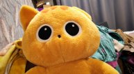 играем в плюшевого котенка