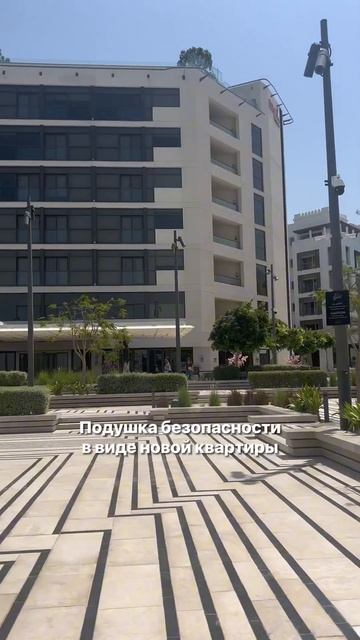 Одна из самых прекрасных подушек безопасности😁 #брок