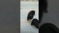 1000063555.mp4