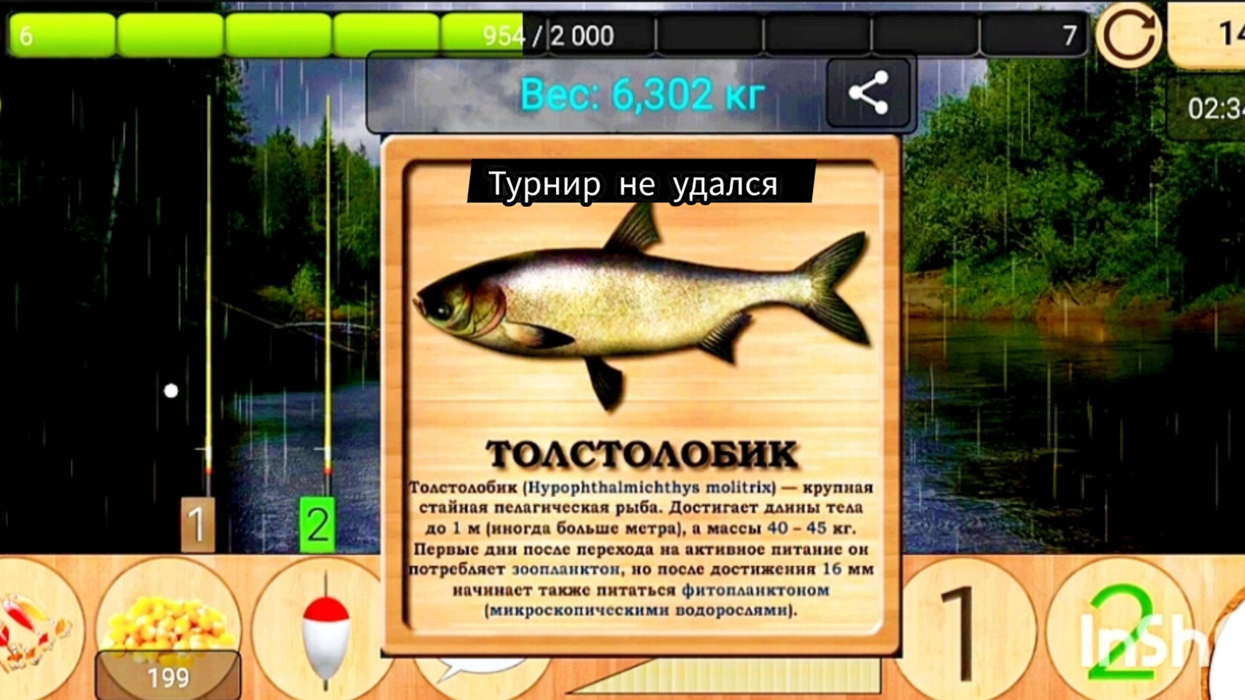 5 Серия Реальная рыбалка 🐟 Турнир 🏆Лесная река #рыбалка #реальная рыбалка #рыба