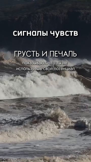 О чем говорят эмоции?🤔 Пиши свое мнение в комментариях👇🏻