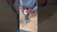 Мастерим очаровательного гномика
Полезно? Ставь — 👍