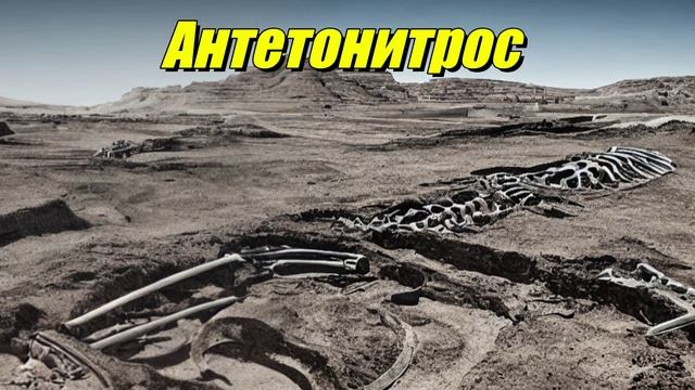 Antetonitrus