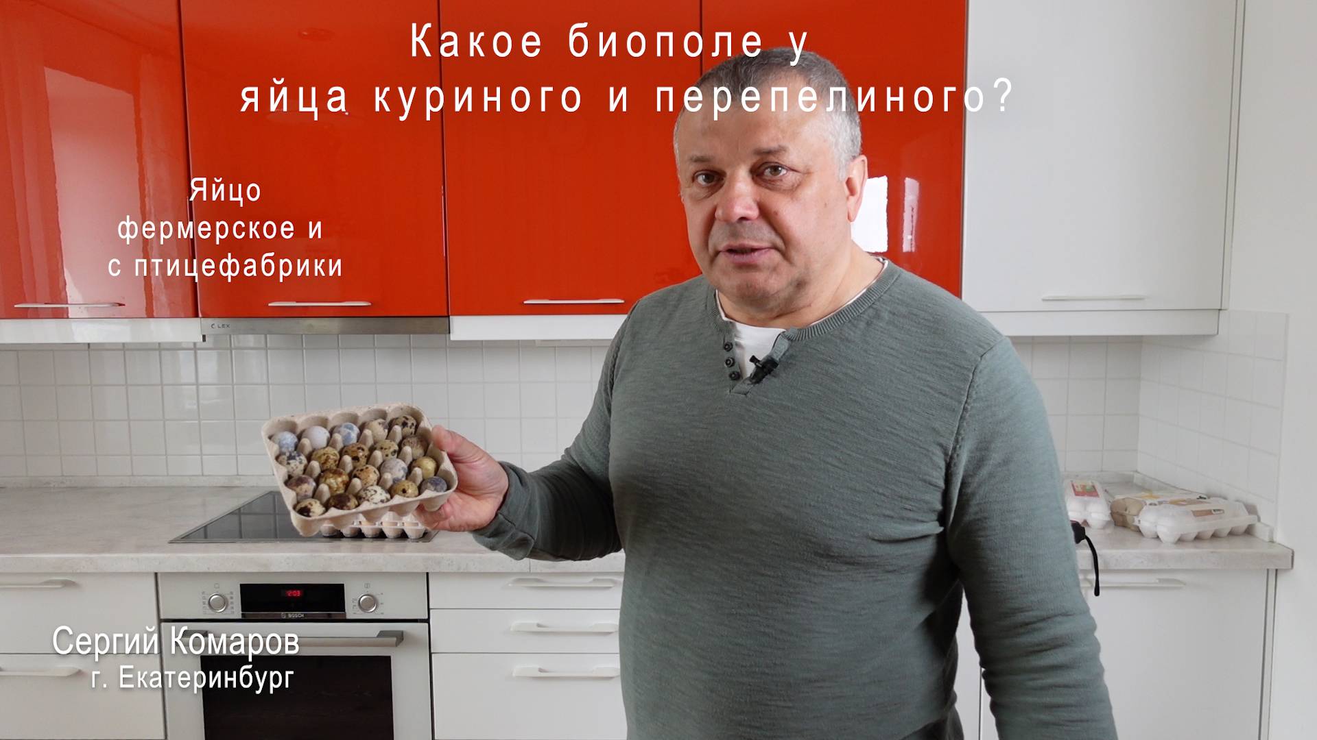 Биополе: Яйцо куриное фермерское и с птицефабрики, какое лучше? +Перепелиное яйцо.