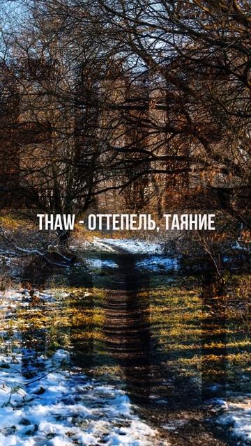 Слова на букву T