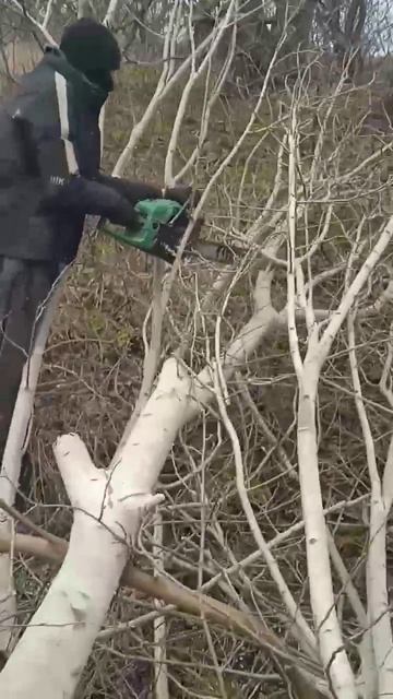 Зима дрова