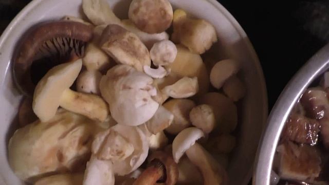 Белый гриб, Рядовки, Маслята. Наша добыча в лесу Гусино.