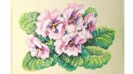 Рисуем розовые фиалки сухой пастелью(пастельными карандашами).