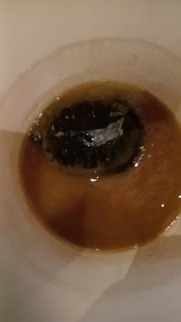 Обзор на 🐢🐢🐢🐢🐢🐢🐢🐢🐢🐢🐢🐢