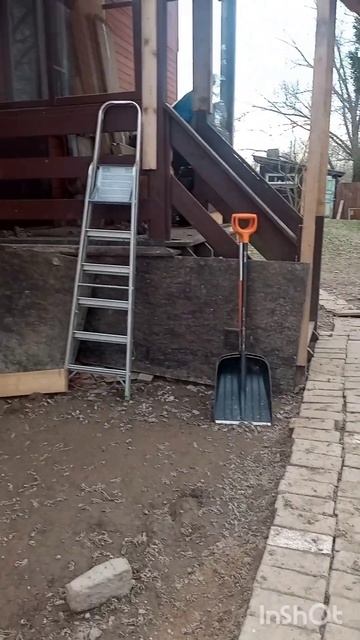 Самур - наш крепыш, бугай и самый  сладкий пончик #помощьбездомным #собака #пёс