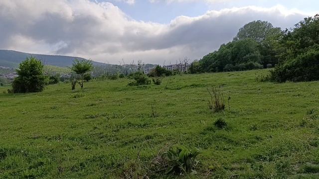 Одна из дорог от Кипарисового озера Сукко до ЖК Кипарис. Май 2025.