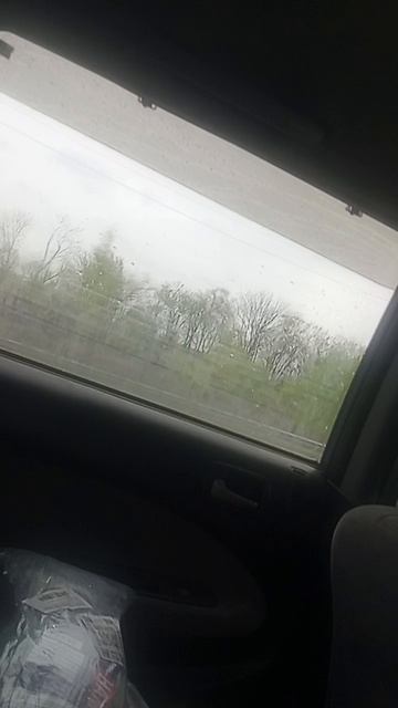 1000028398.mp4