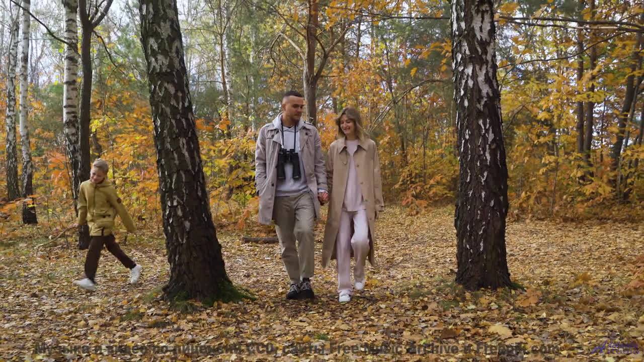 Трек, который вы будете слушать, когда в сотый раз заблудитесь вместе - love in this land -- Westy R