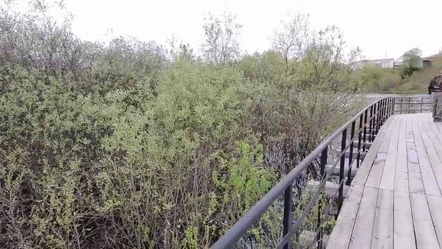 БЕШЕНЫЙ КЛЕВ! 👍РЫБА ПРЁТ! 😱