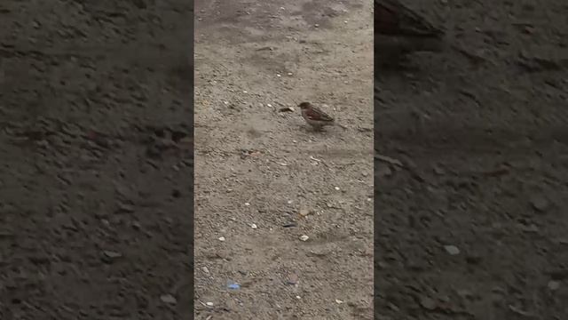 На лепешку Налетай!!!!💗💖💖💖💖💖💖💖💖💖💖