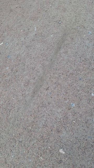 Челлендж