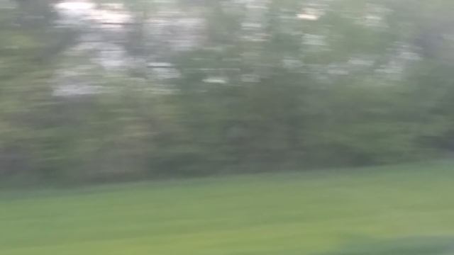 VID_20250501_114532.mp4