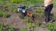 Новый способ окучивания картошки мотоблоком