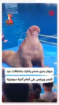 حيوان الفظ ينضم لاحتفالات عيد النصر ويرقص على أنغام أغنية "سموغليانكا" السوفيتية
