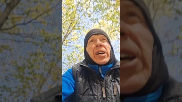 От гипертонии до гипотонии один шаг.