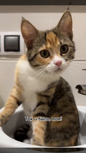 ХихиЧпок Юмор