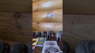 Что между вами сейчас
