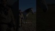 Вячеслав и Фаир. занятие с лошадью на свободе. май, 2025