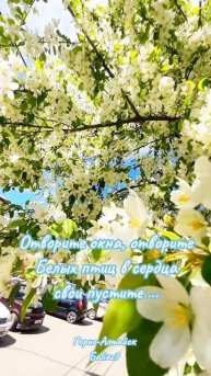 Всем Прекрасного Праздничного Настроения!
