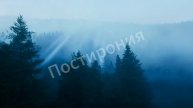Под заказ ИНТРО №2
