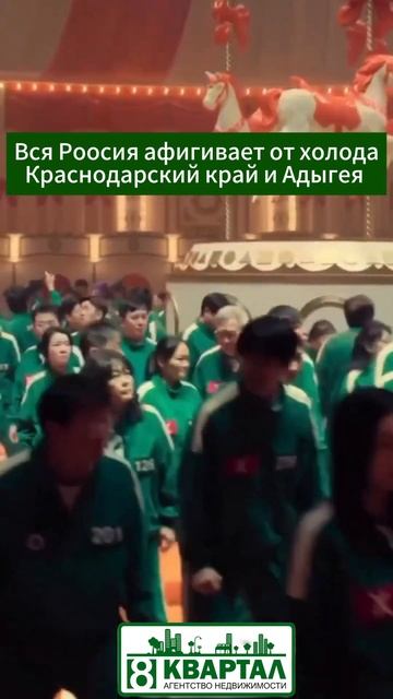 Почему стоит переехать на юг #новыйгод #квартира #недв?