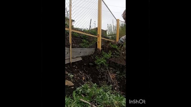 1000004543.mp4