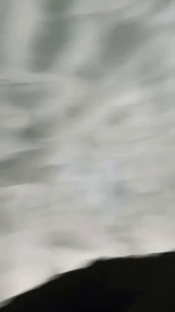 Берлога медведя