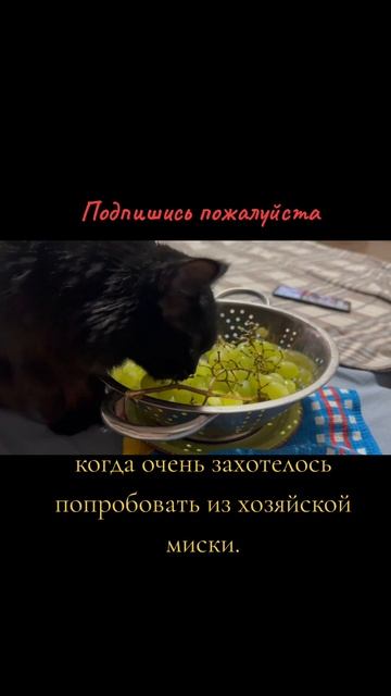 Буська