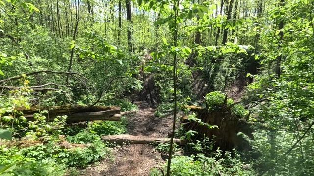 09.05.2025 Кукушкин Овраг. K2r efe 300, kayo k5, kayo k2