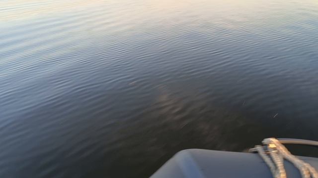 1000016458.mp4