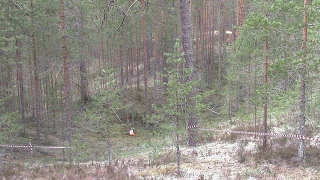 Змей Горыныч 2025 последний КП 2193