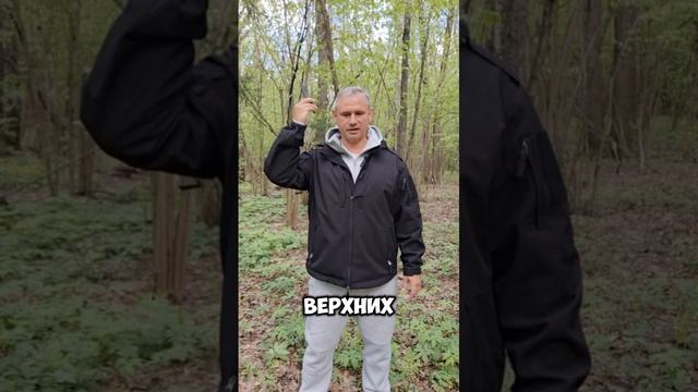 телесные и внетелесные подключки