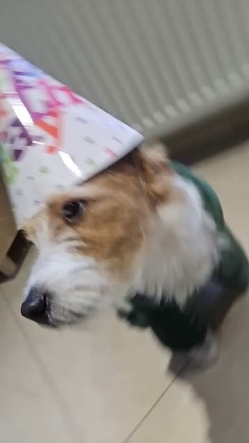 У нас сегодня день рождения!!!! 😇🥳💖