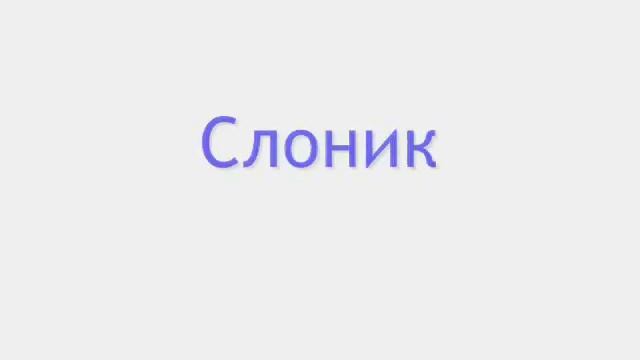 Анимашки