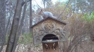 Белочки в Новосибирском зоопарке. В новосиб. зоопарк обязательно надо ходить с орехами для белок!