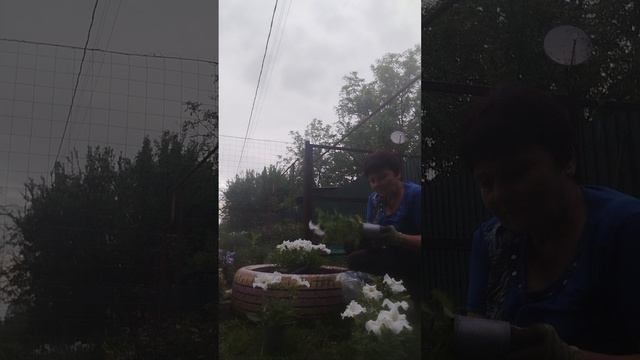 1000441568.mp4