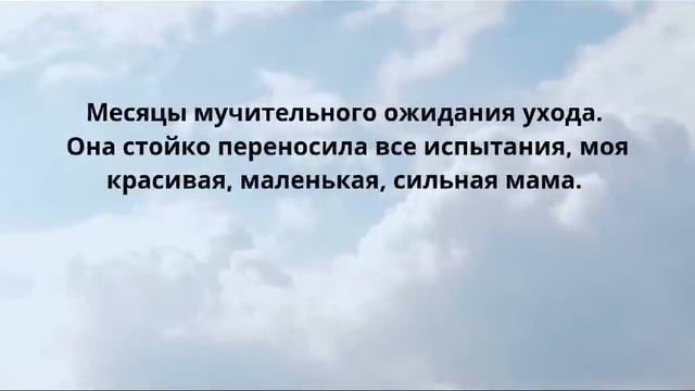 20 января 2025 г.