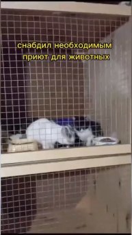 благотворительная акция от КРАКЕНА #зима #собака
