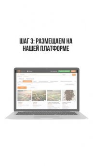 Аналитическая платформа